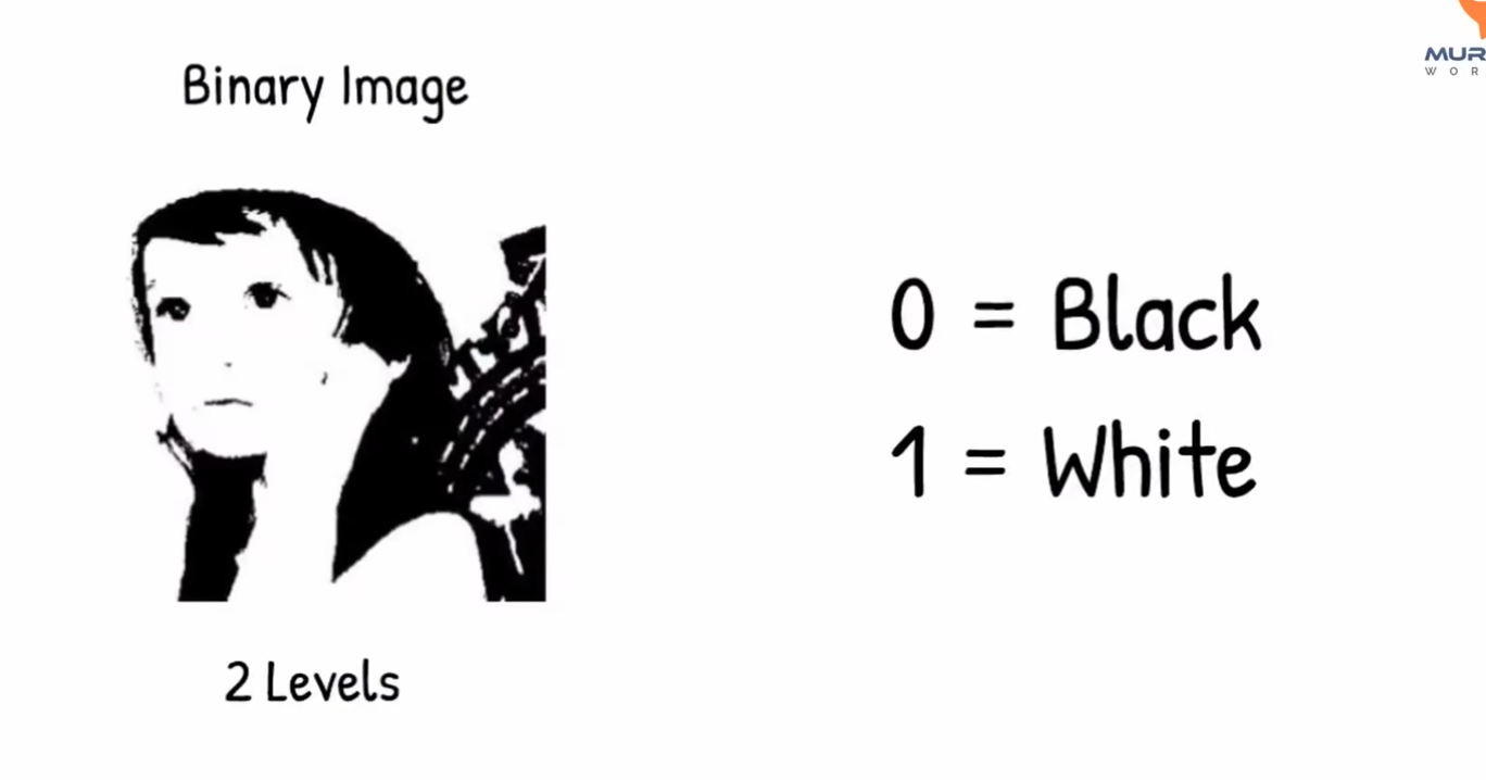 1.2-image-003